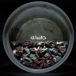 Hummingbird Of Death / Cold World - split LP